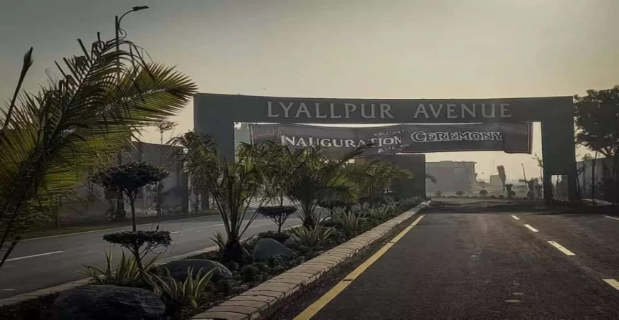 743 Square Feet Plot File Is Available For Sale In Lyallpur Avenue